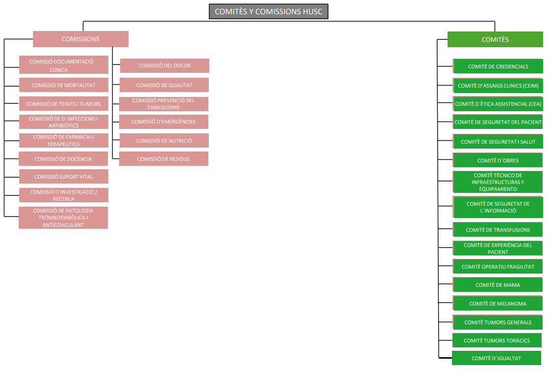 Comitès y comissions husc