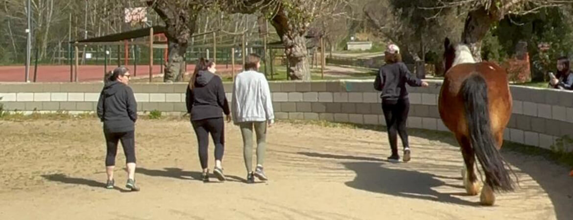 terapia-trastornos-salud-mental